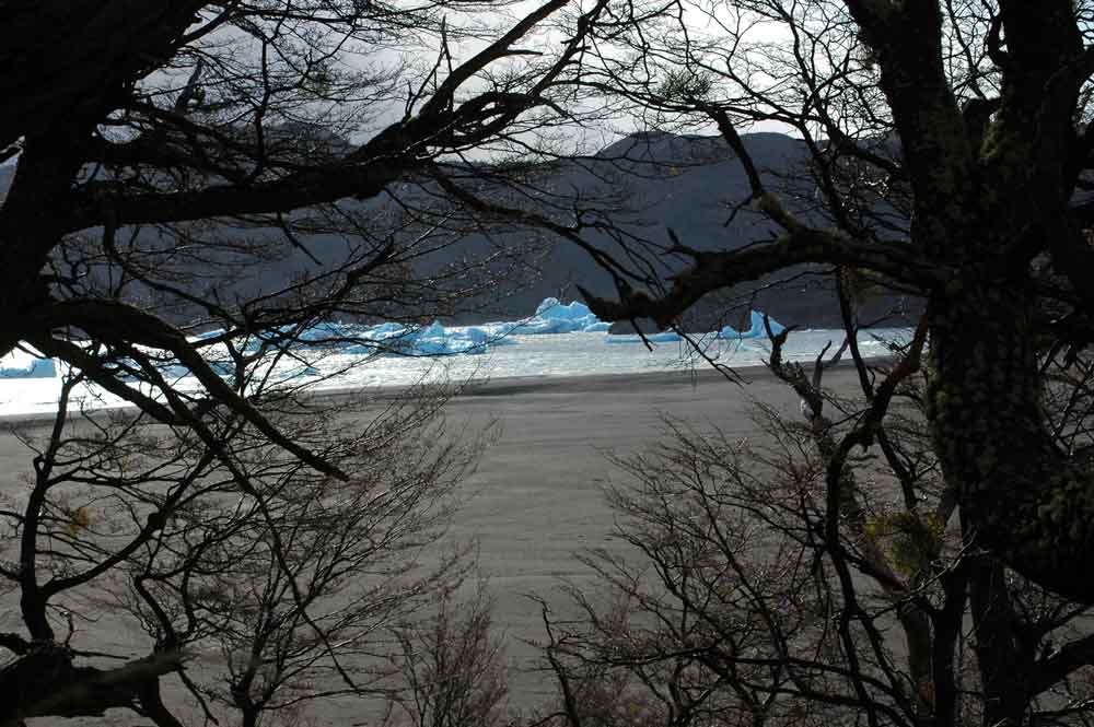 25 - Chile - parque nacional Torres del Paine, lago Grey